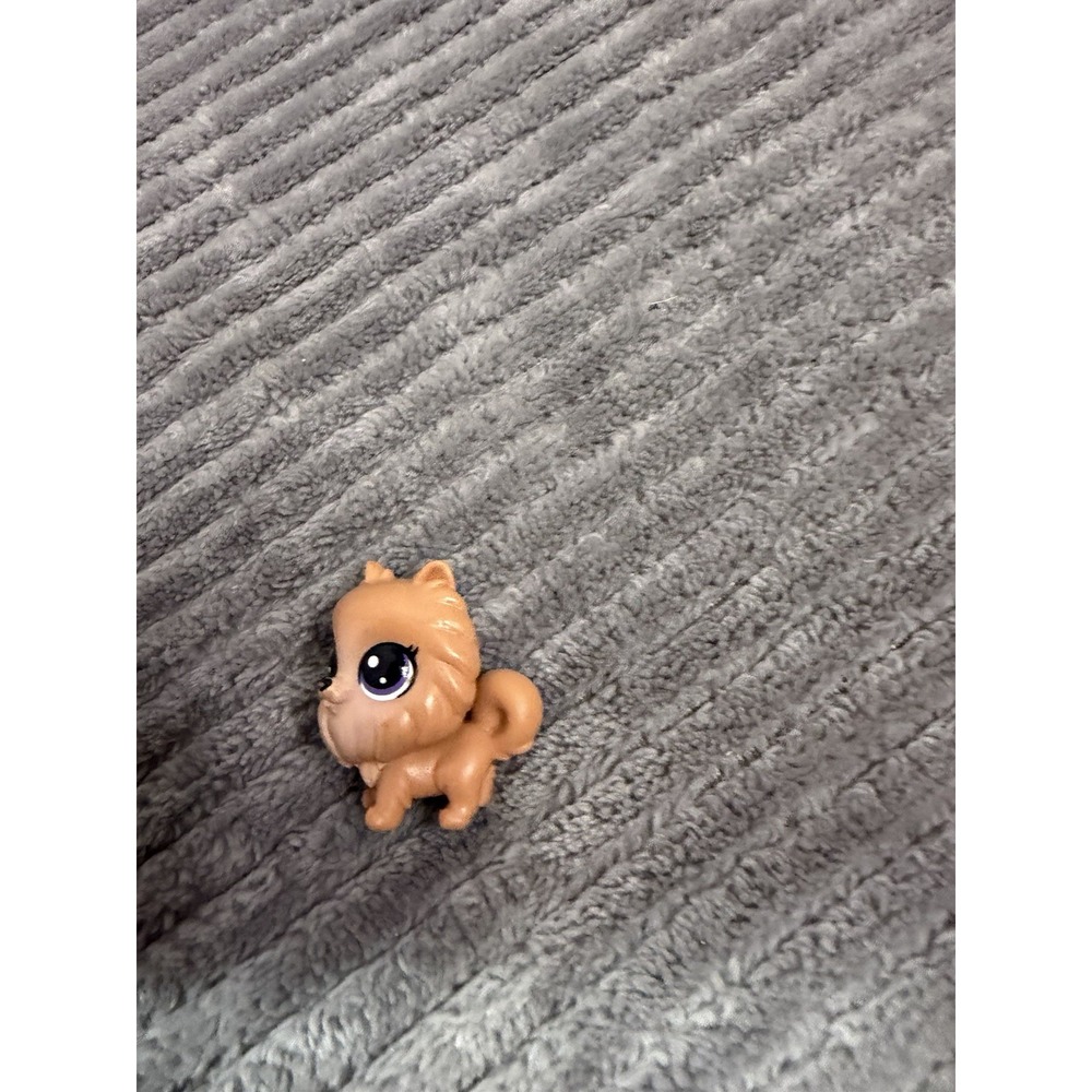 MINI POMERANIAN DOG #3-163 - Authentic Littlest Pet Shop - Hasbro LPS